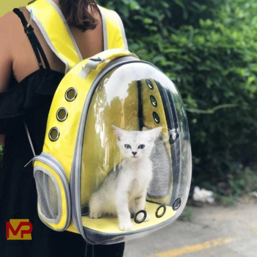 Mochila De Paseo Con Cápsula Para Mascotas Vista Panorámica Seguro